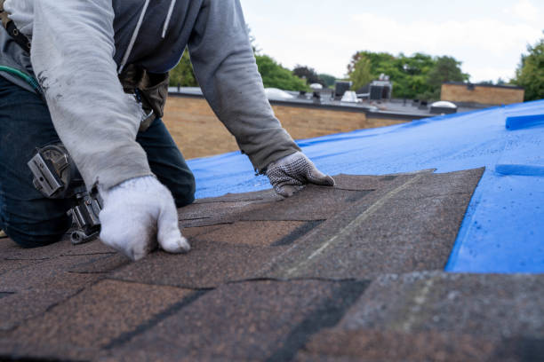 Professional  Roofing repair and installation in Moscow, ID