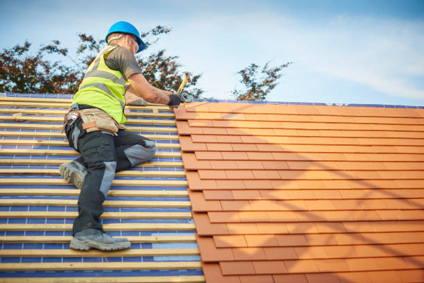 Best Sheet Metal Roofing  in Moscow, ID